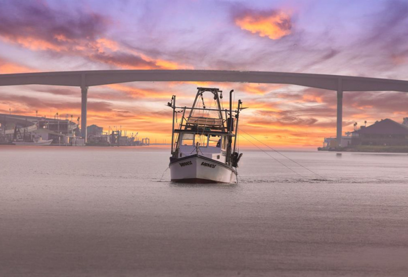 Watch all the boats cruise up and down the ICW