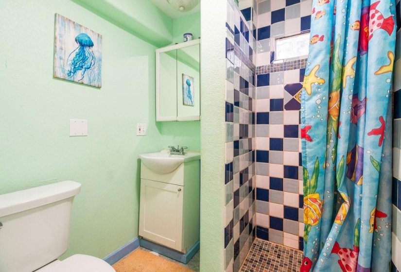 DOWNSTAIRS bathroom