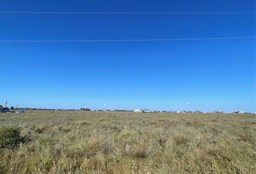 Lot 276