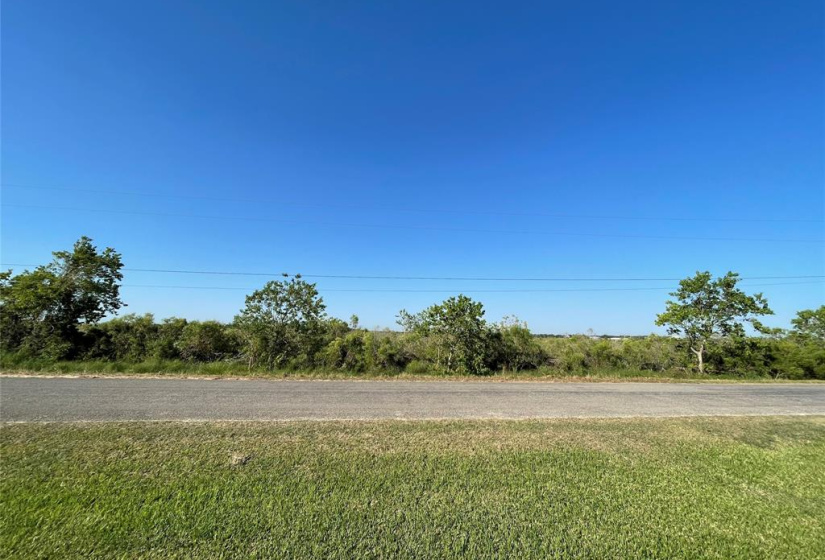 Roadside view.