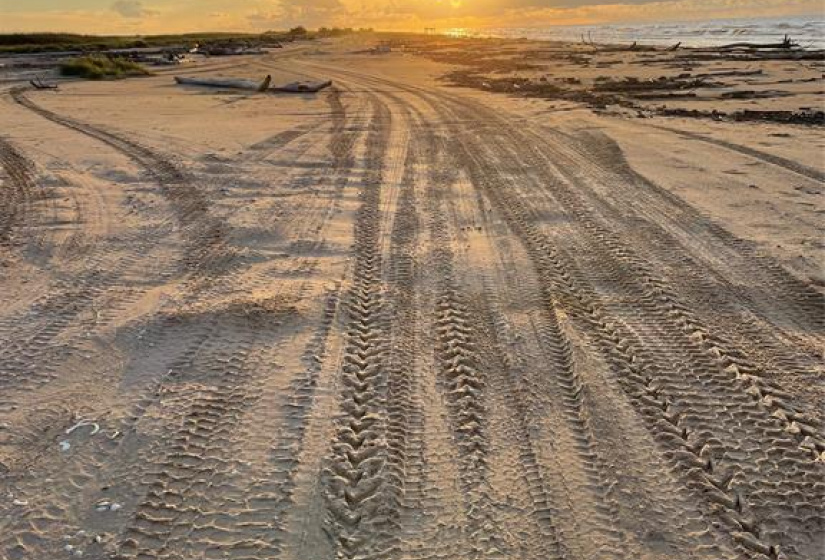 Miles of beach to explore.