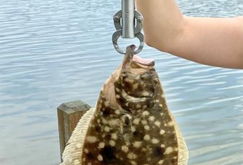 Flounder and Redfish are among the many fish caught right off the pier!