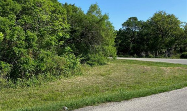 0 County Road 281 Ramblewood Road, Sargent, Texas 77414, ,Country Homes/acreage,For Sale,County Road 281 Ramblewood,55657982