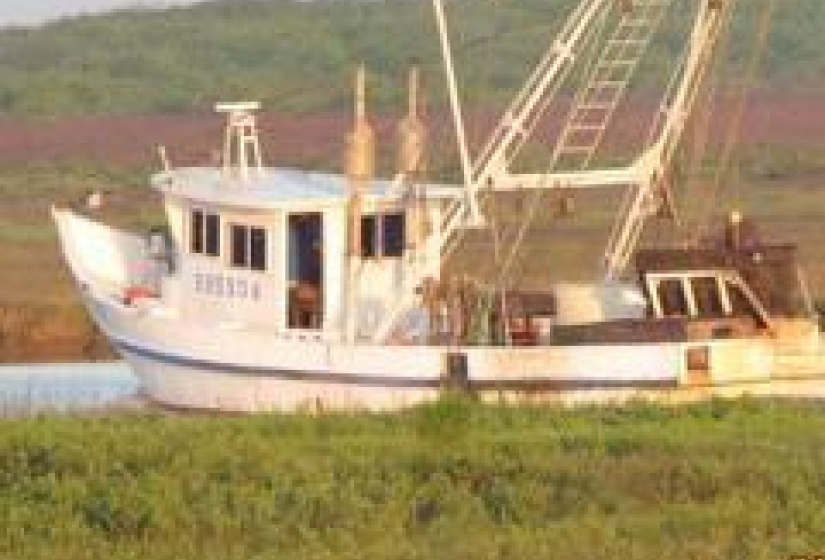 Local Shrimper coming in after a long day, ready to sell you some fresh shrimp!